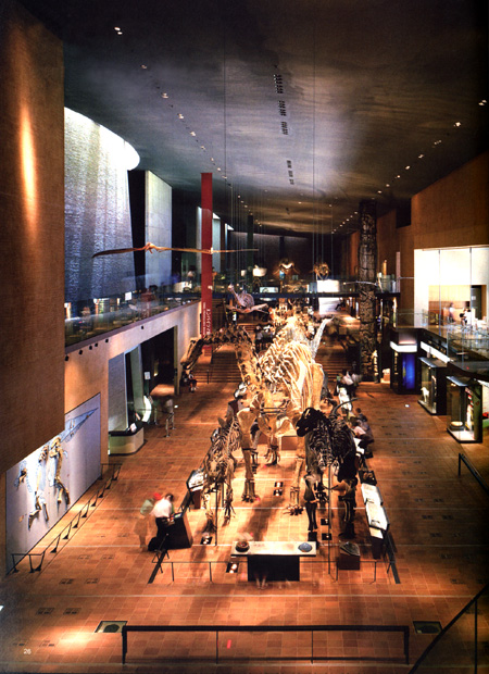 いのちのたび博物館（北九州市立自然史・歴史博物館）